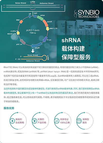 shRNA载体构建保障型服务