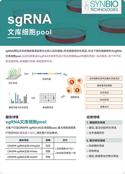 sgRNA文库细胞pool