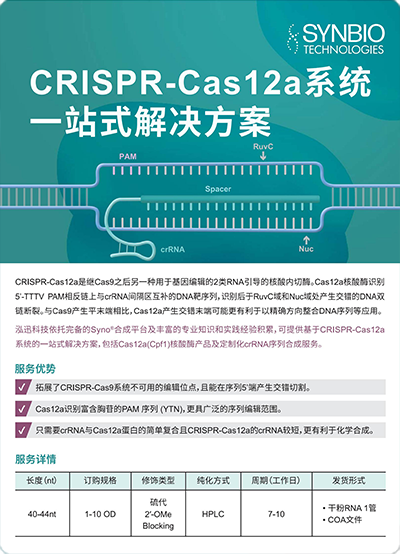 CRISPR-Cas12a 系统一站式解决方案