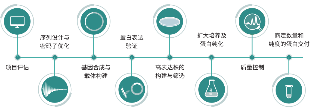 人全长重组胶原蛋白服务流程